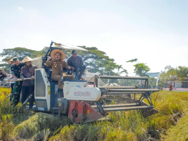 Gubernur Ahmad Luthfi Optimistis Jateng Mampu Penuhi Target 11,8 Juta Ton Padi pada 2025