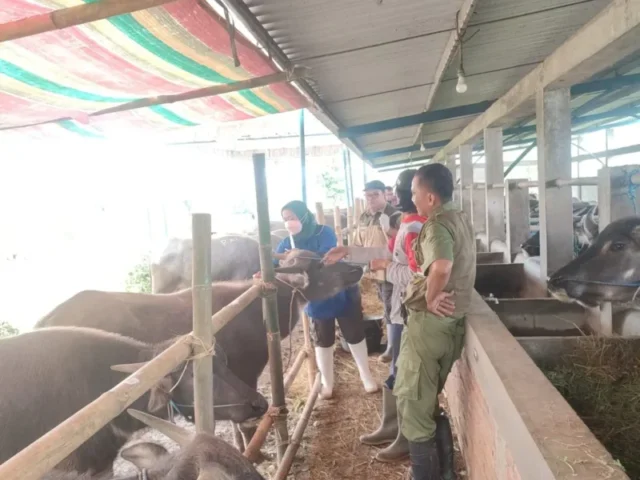 Jelang Iduladha 2025, Pemprov Jateng Cek Kesehatan Hewan Kurban