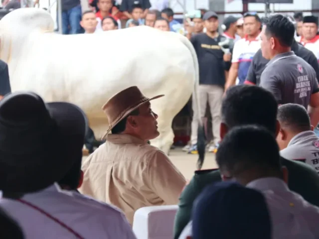 Jateng Lumbung Ternak Nasional, Gubernur Ahmad Luthfi Hadiri Kontes dan Expo Sapi Boyolali