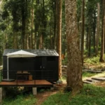 Apa Itu Bobocabin Baturraden Banyumas: Staycation Hingga Destinasi Wisata Air Terjun dan Hutan Pinus Limpakuwus