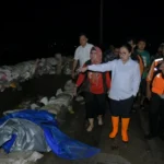 Turun ke Lokasi, Wali Kota Semarang Cek Pagar Laut yang Jebol di Tanjung Emas