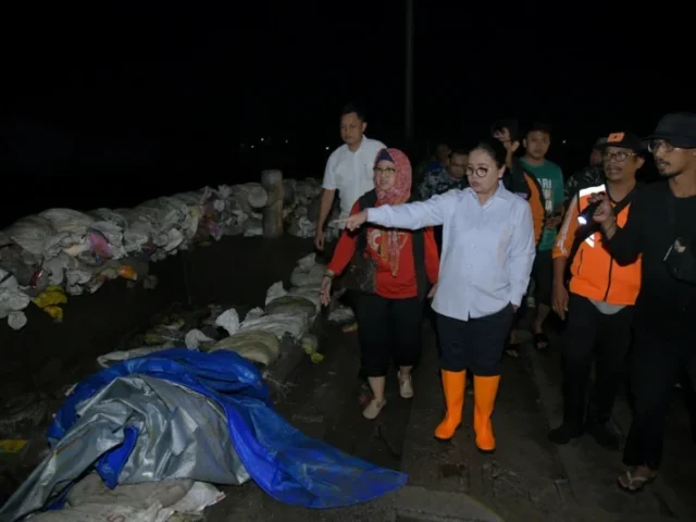 Turun ke Lokasi, Wali Kota Semarang Cek Pagar Laut yang Jebol di Tanjung Emas