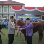 Komitmen Polres Klaten dalam Berbagi: 60 Hewan Kurban untuk Warga