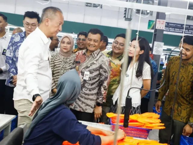 Langkah Ahmad Luthfi Tarik Investor Dapat Pengakuan Positif