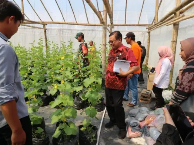 Desa Kaliwedi Raih Tiga Besar di Ajang Desa Terbaik Jateng, Dukung Akselerasi Pembangunan Berkelanjutan
