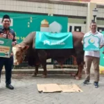 Shopee Barokah Salurkan Bantuan Hewan Kurban ke Lazismu
