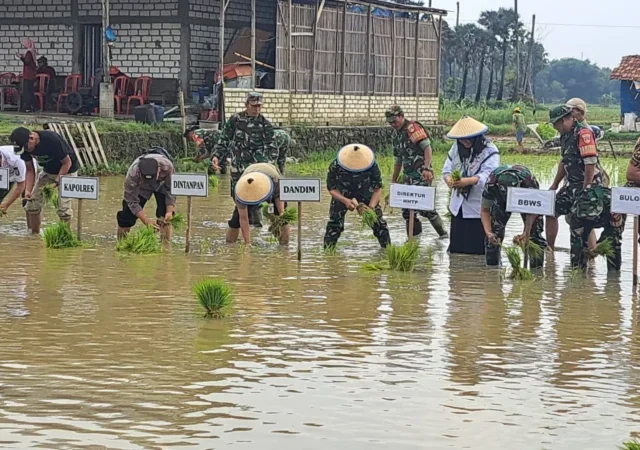 Pemkab Rembang Genjot Perluasan Areal Tanam Padi Capai 45 Ribu Hektare