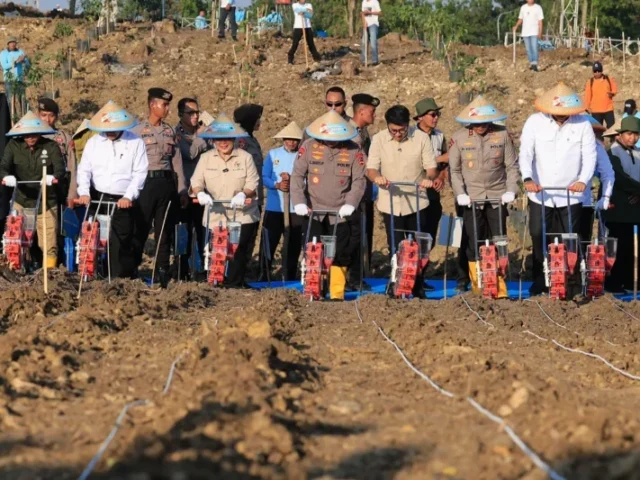 Kapolri Sampaikan Dukungan Polri untuk Ketahanan Pangan Melalui Gerakan Tanam Jagung di Grobogan