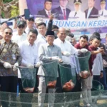Ikan Nila Asal Pati Berpeluang Tembus Pasar Jeddah