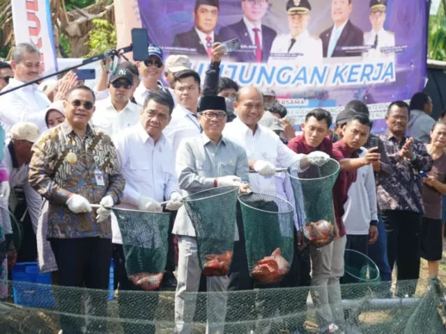 Ikan Nila Asal Pati Berpeluang Tembus Pasar Jeddah