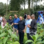 Kerja Sama Internasional: Kopi Temanggung Didorong Tembus Pasar Ekspor