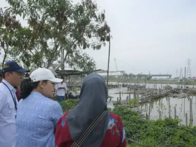 Pemerintah Kota Semarang Kembangkan Ekowisata Mangrove di Kawasan Tambakrejo