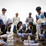 HEBAT! Mahasiswa KKN PPM UGM Tanam Terumbu Karang di Mandeh untuk Menyelamatkan Alam