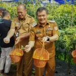 Pastikan Pasokan Cabai Aman, Inilah Upaya Pemprov Jateng dalam Membantu Petani