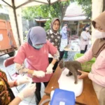 Ada 1.100 Vaksin Rabies Gratis, Yuk Hadir di Wilayah Ini