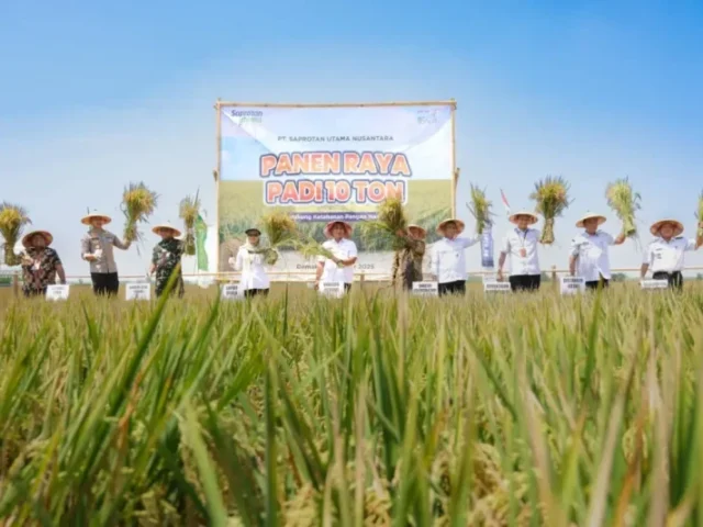 Pacu Produktivitas Hasil Panen, Pemprov Jateng Dukung Penuh Lomba Panen Padi 10 Ton per Hektare