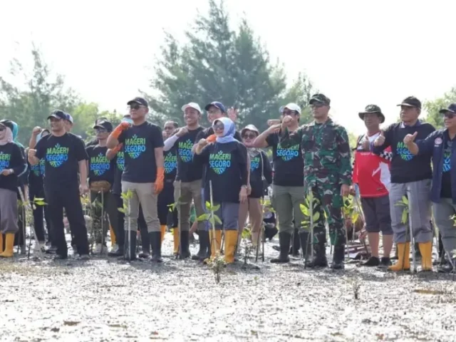 Tanam Mangrove, Dewan Dorong Pelestarian Pesisir