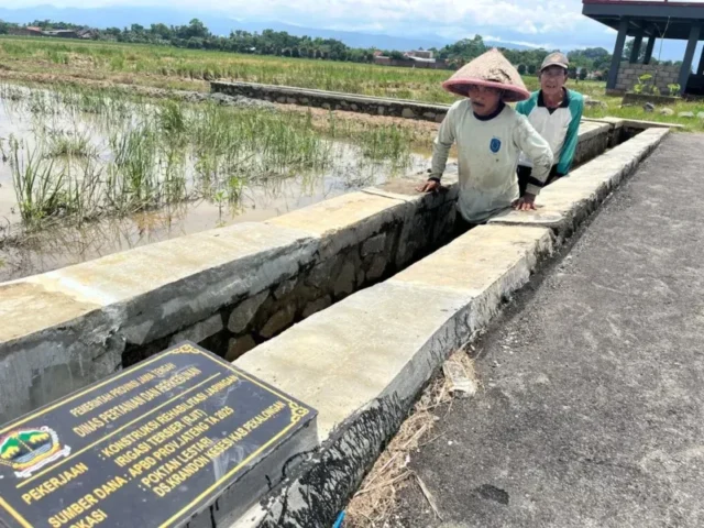 Cerita Petani Dapat Bantuan Irigasi dari Ahmad Luthfi, Mudah Peroleh Air, Panen Melimpah