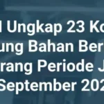 BPOM Ungkap 23 Kosmetik Mengandung Bahan Berbahaya dan/atau Dilarang Periode Juli–September 2025