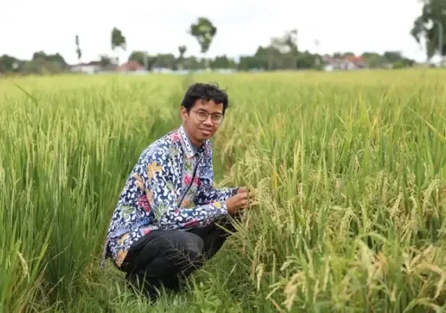 Apa Itu Beras Presokazi? Pulen Bersih dan Mengandung Zat Besi