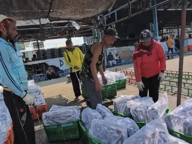 Jateng Genjot Gemarikan, Konsumsi Ikan Naik 7,8 Persen