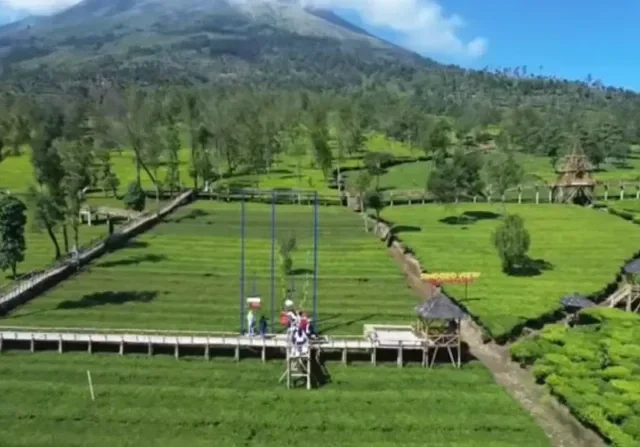Siap…Siap… Yuk Isi Akhir Tahun Dengan Petualangan Segar Di Kebun Teh Sikatok