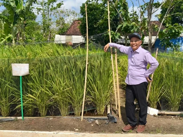Irigasi Menggunakan Geomembran, Tim UGM Tawarkan Solusi Pertanian di Lahan Kering