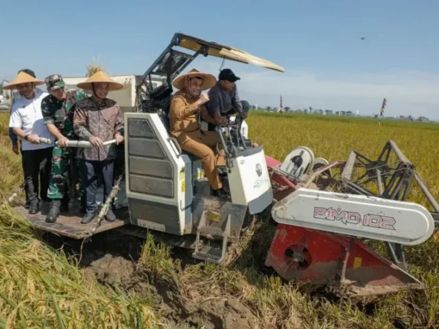 Produktivitas Pangan Jawa Tengah 2025 Capai Target Nasional