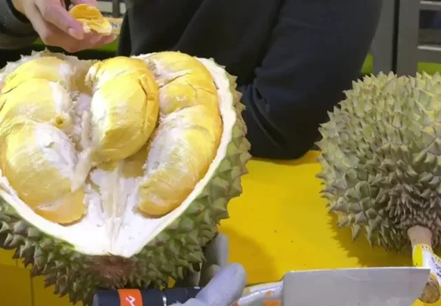 Tips Memilih Durian yang Enak, Jangan Sampai Tertipu!
