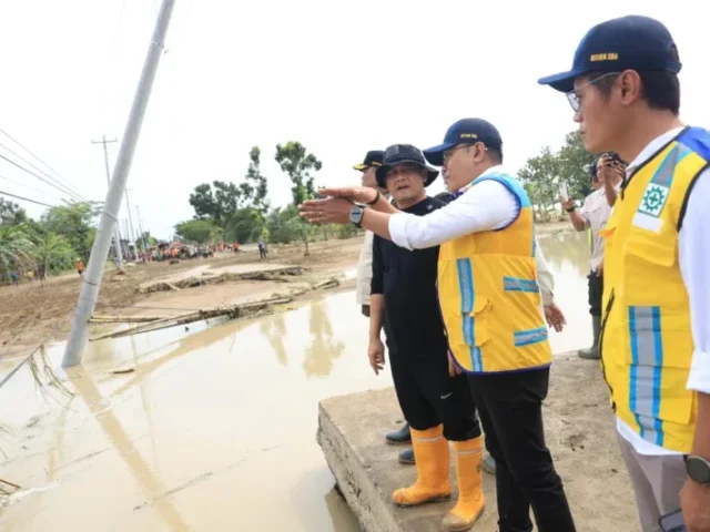 Ribuan Hektare Sawah di Grobogan Terdampak Banjir, Pemprov Dampingi Petani Ajukan Asuransi Gagal Panen