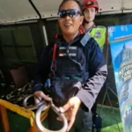 Waduh…. ada Ular di Pos Jaga Tol Kalikangkung