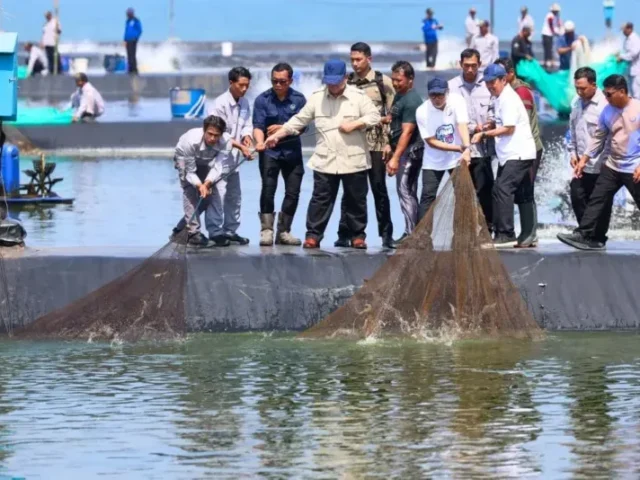 Dampingi Prabowo Panen Raya, Ahmad Luthfi Sebut Budi Daya Udang Miliki Prospek Bagus