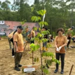 UGM dan PAMA Tanam Pohon di Wanagama Nusantara