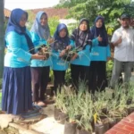 Ini Dia! Prospek Bawang Merah Berteknologi Pembenihan Biji Botani 